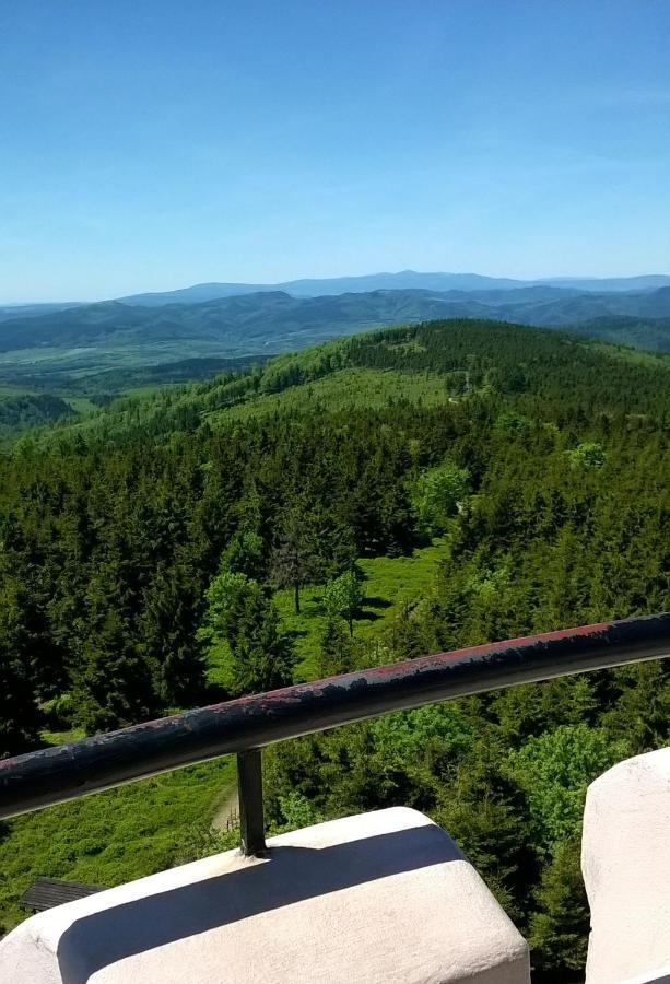 Minisowa Appartement Jedlina-Zdroj Buitenkant foto