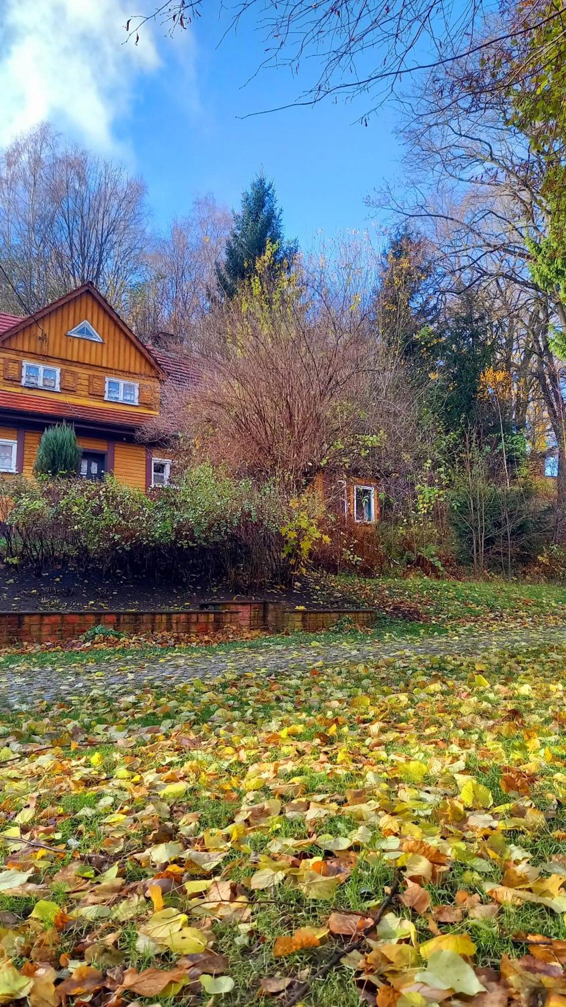 Minisowa Appartement Jedlina-Zdroj Buitenkant foto